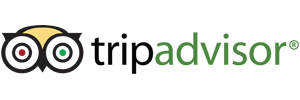 Trip Advisor Logo